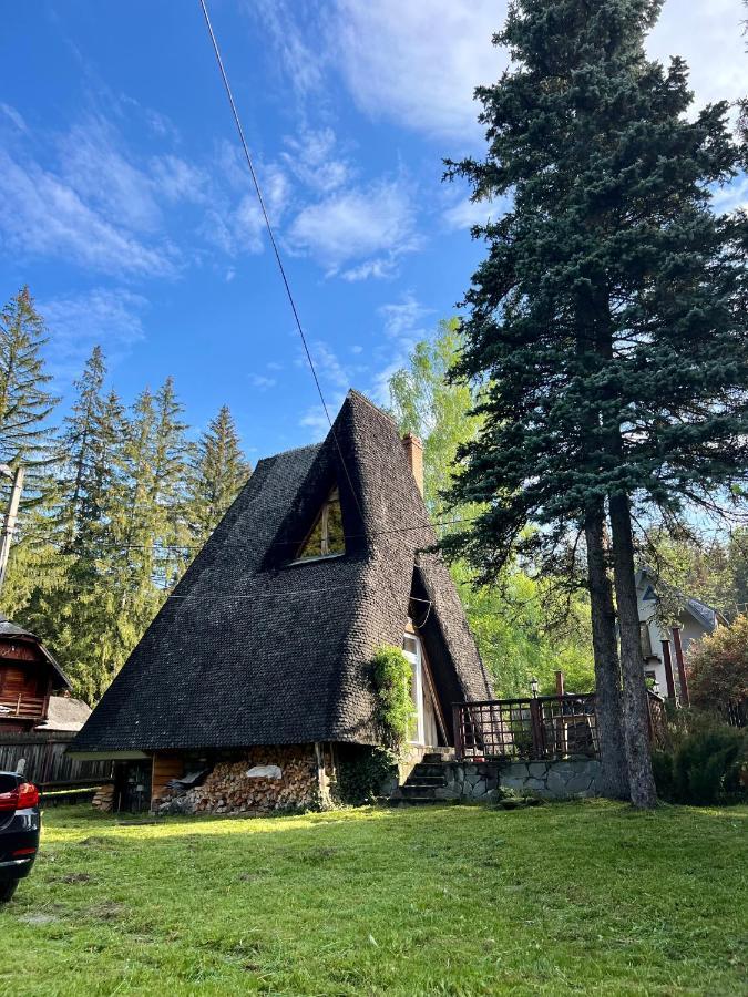 Mountain Getaway Cabin Cheia  Buitenkant foto